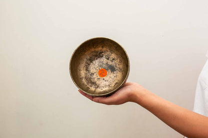 Tara Singing Bowl - Base Note C#4 (271 Hz)