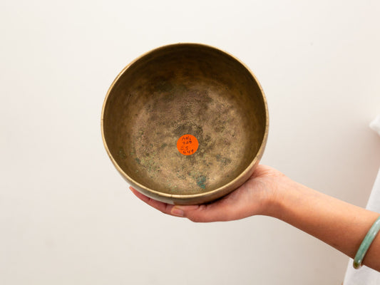 Tara Singing Bowl - Base Note A#3 (228 Hz)