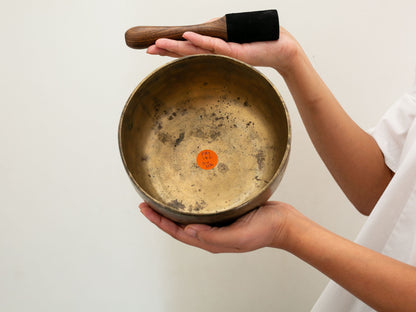 Tara Singing Bowl - Base Note F#3 (182 Hz)