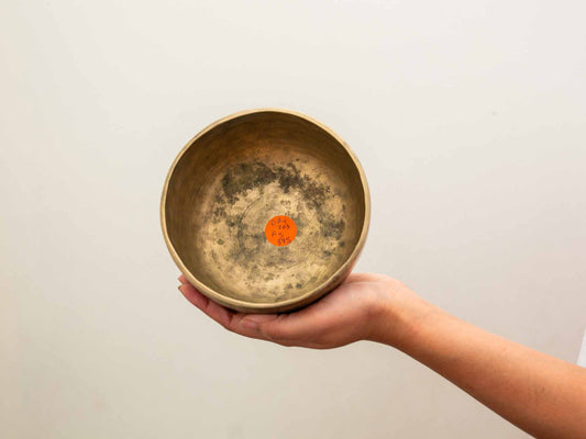 Tara Singing Bowl - Base Note D#4 (303 Hz)