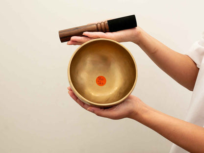 Hand Hammered Moon Singing Bowl - Base Note E4 330