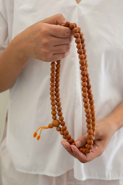 Bodhi Seed Mala (BM02) - 10-12mm beads