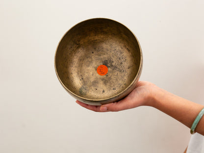 Tara Singing Bowl - Base Note F3 (171 Hz)