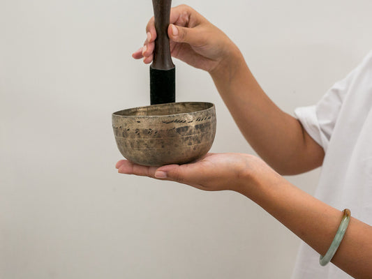 Small Tara Singing Bowl - Base Note D#4 (312)