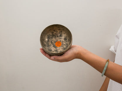 Small Tara Singing Bowl - Base Note D#4 (312)