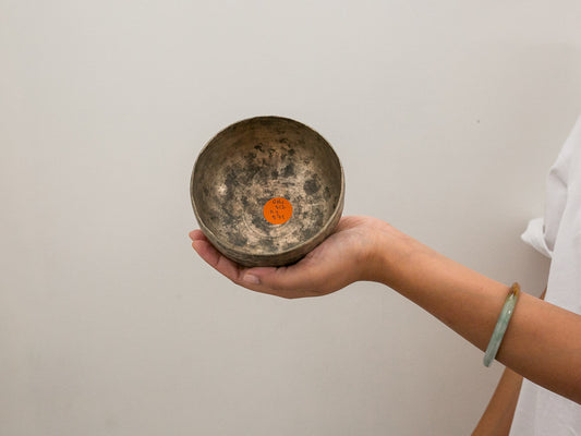 Small Tara Singing Bowl - Base Note D#4 (312)