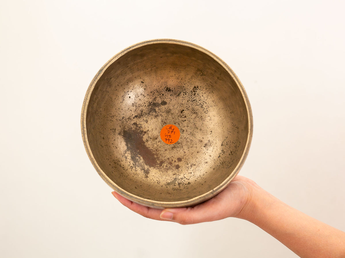 Tara Singing Bowl (thick rim) - Base Note C#4 (271Hz)