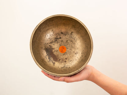 Tara Singing Bowl (thick rim) - Base Note C#4 (271Hz)
