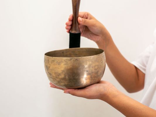 Tara Singing Bowl - Base Note D#3 (152 Hz)