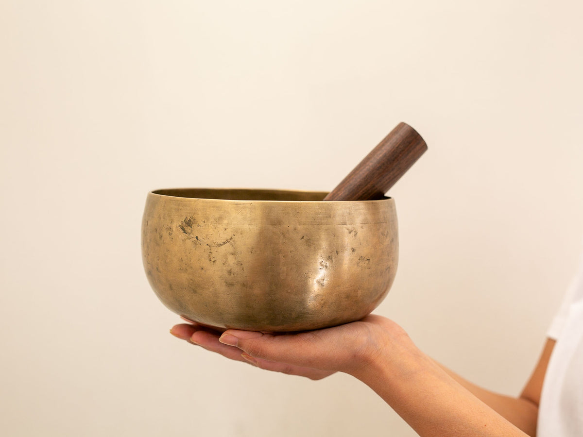 Tara Singing Bowl - Base Note D3 (145 Hz)
