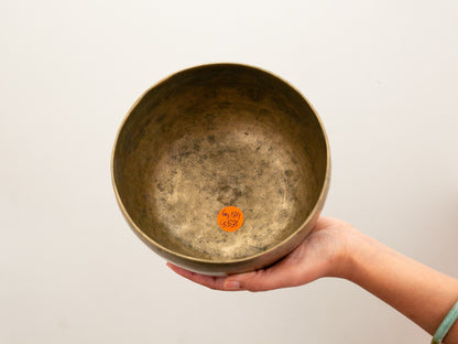 Tara Singing Bowl - Base Note F#3 (184 Hz)