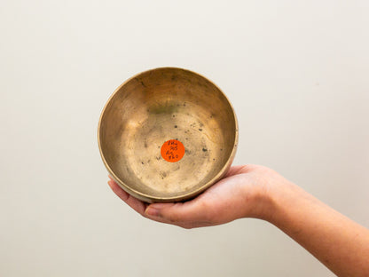 Small Tara Singing Bowl - Base Note D#4 (305)
