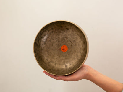 Tara Singing Bowl - Base Note D3 (145 Hz)