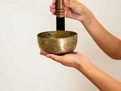 Small Tara Singing Bowl - Base Note D4 (295)