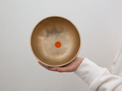 Hand Hammered Singing Bowl - Base Note B3 242 Hz