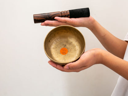 Small Tara Singing Bowl - Base Note E4 (332)