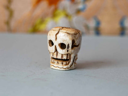 Citipati Head in Yak bone