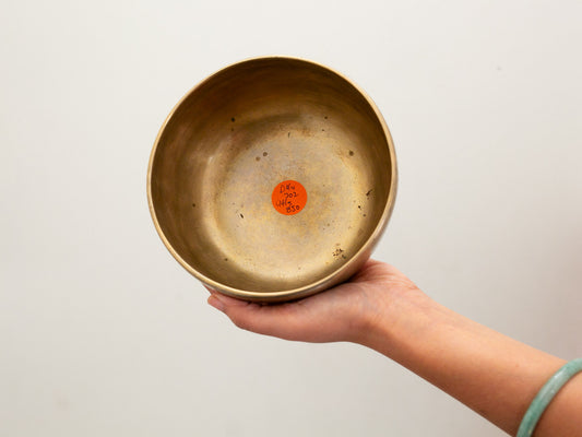 Tara Singing Bowl - Base Note D#4 (302 Hz)