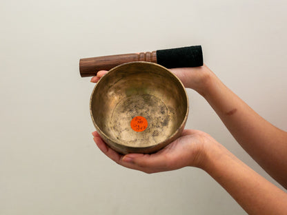 Small Tara Singing Bowl - Base Note D4 (300)