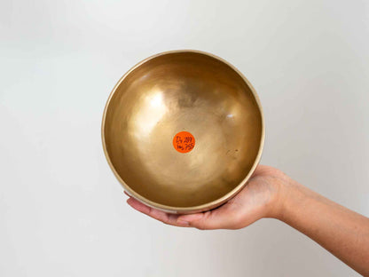 Hand Hammered Moon Singing Bowl - Base Note D4 289 Hz