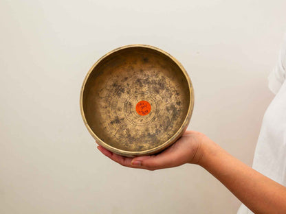 Tara Singing Bowl - Base Note D#4 (282 Hz)