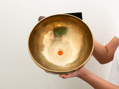 Hand Hammered Singing Bowl - Base Note A#2 119Hz