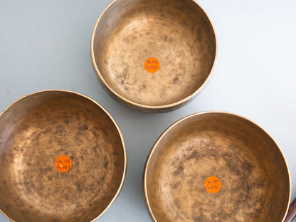 Set of 3 Tara Bowls - TBS93