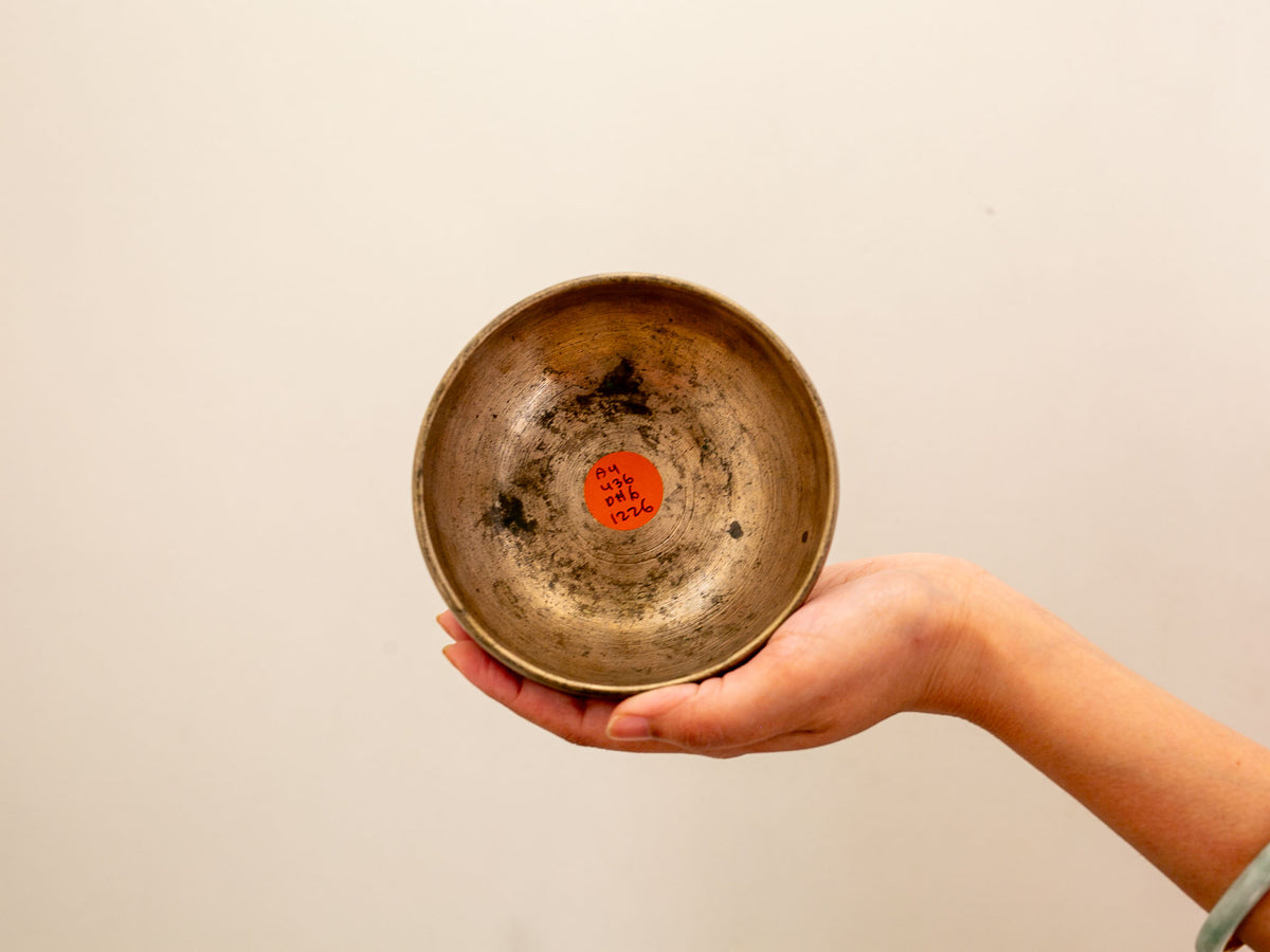 Small Tara Singing Bowl - Base Note A4 (436)