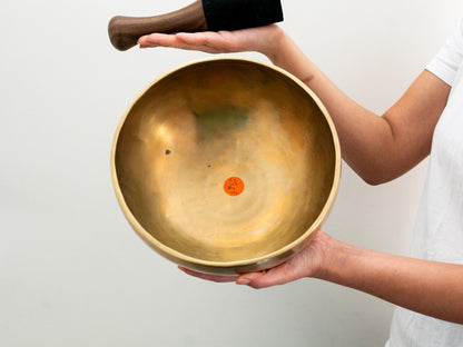 Hand Hammered Singing Bowl - Base Note E3 167Hz