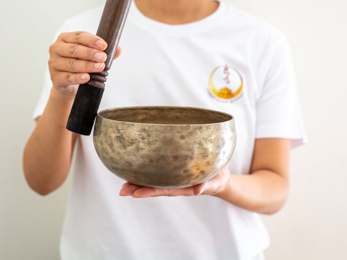 Copre Singing Bowl - D3 144 Hz