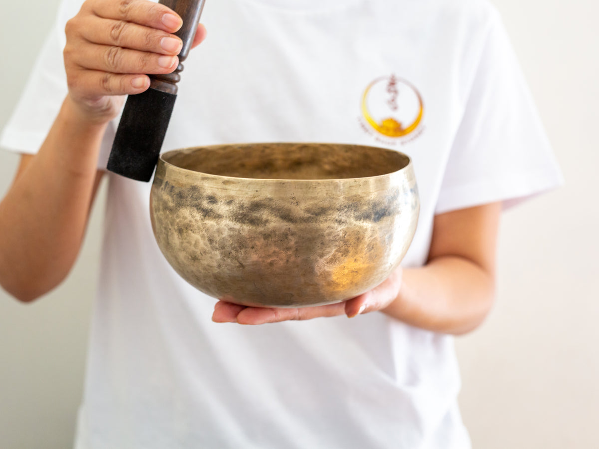 Copre Singing Bowl - E3 167 Hz