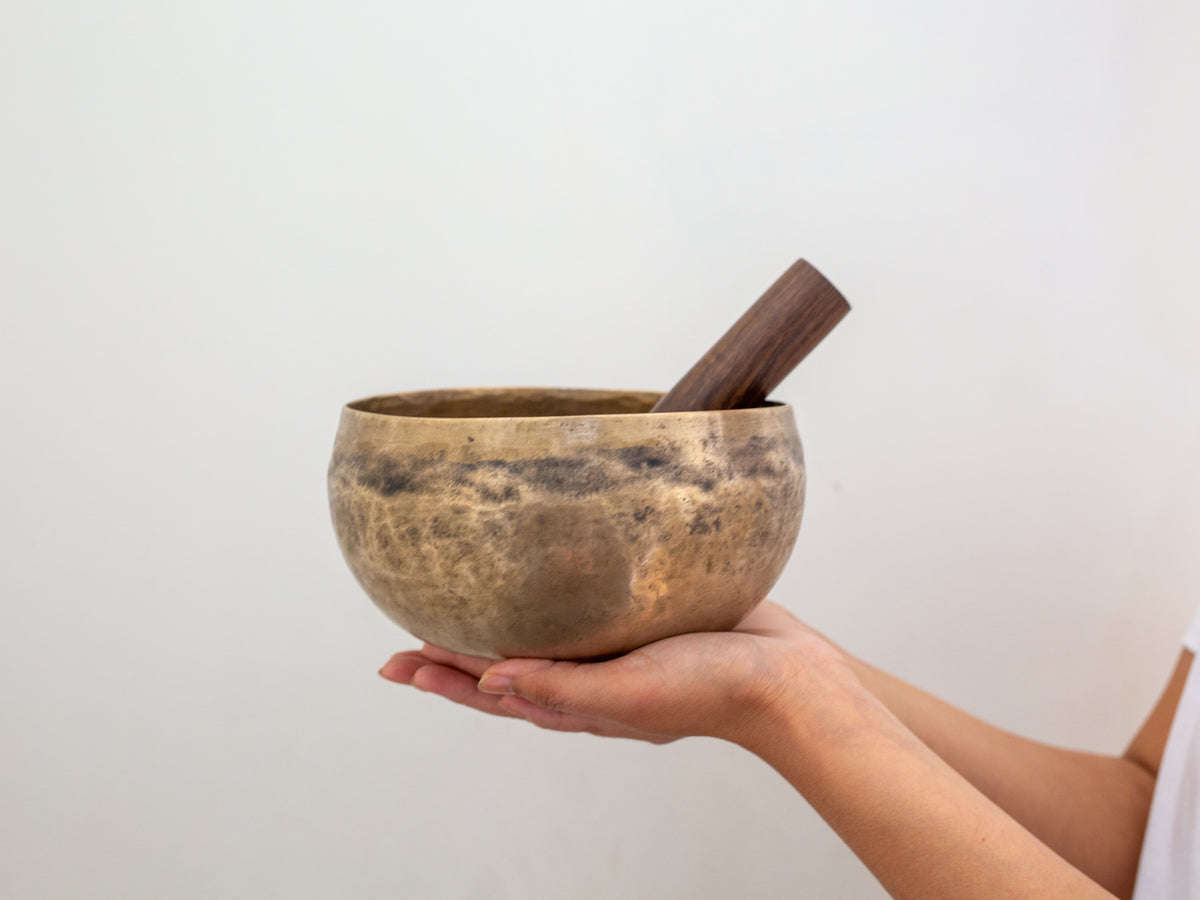 Copre Singing Bowl - E3 167 Hz