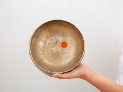 Copre Singing Bowl - E3 167 Hz