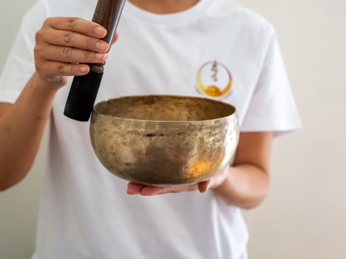 Copre Singing Bowl - C#3 138 Hz