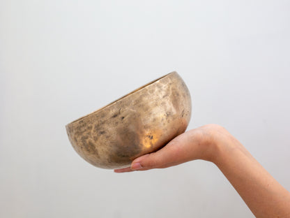 Copre Singing Bowl - C#3 138 Hz