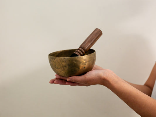 Small Tara Singing Bowl - Base Note E4 (334)