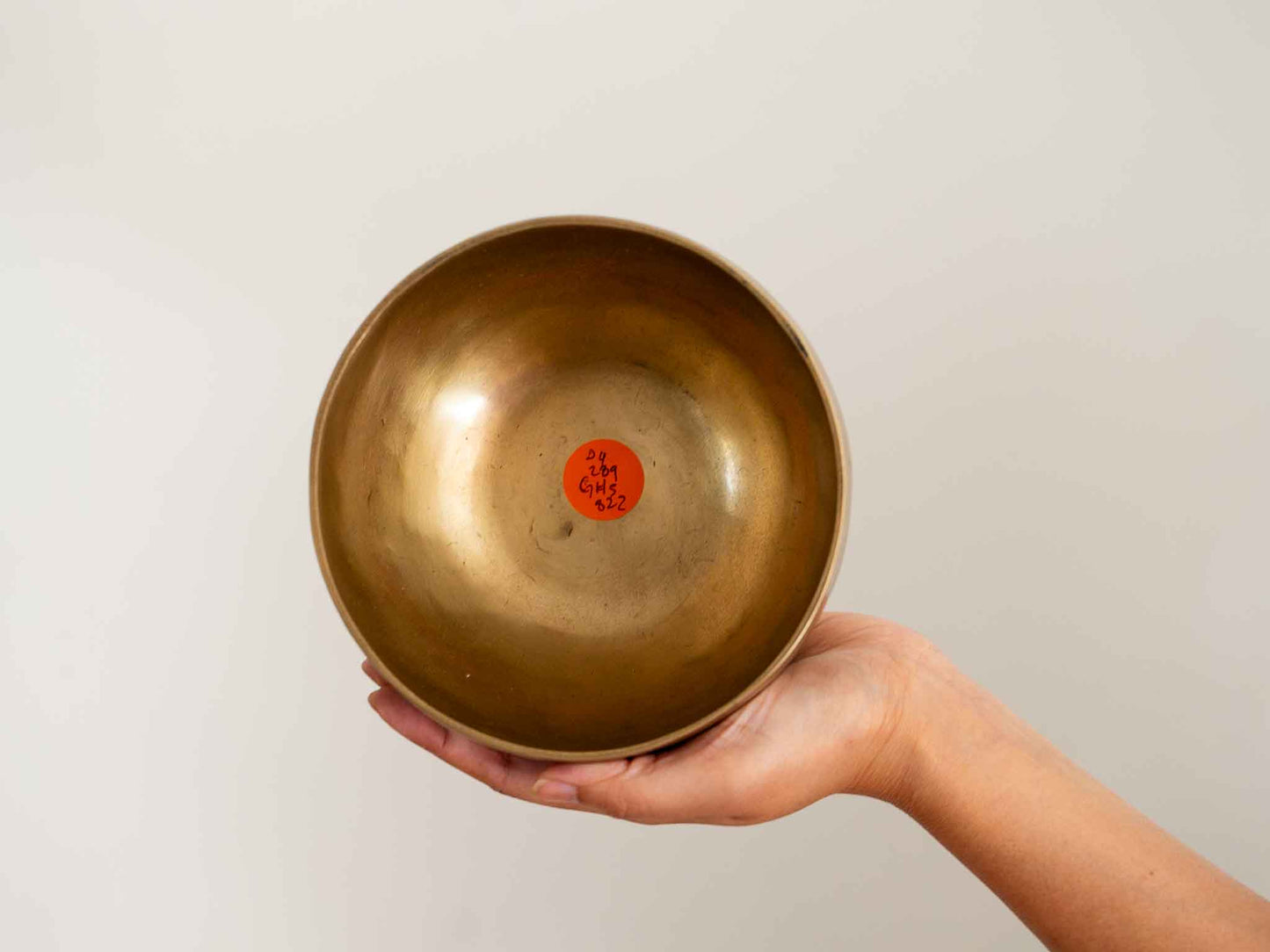 Hand Hammered Singing Bowl - Base Note D4 289