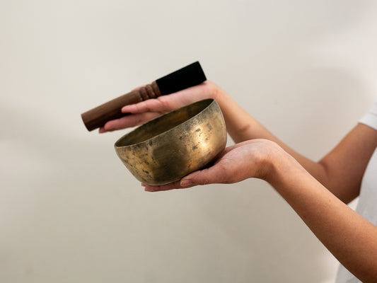 Small Tara Singing Bowl - Base Note E4 (322)