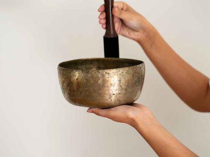 Tara Singing Bowl - Base Note E3 (167 Hz)