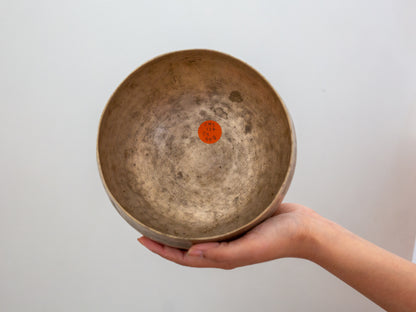 Copre Singing Bowl - C#3 137 Hz