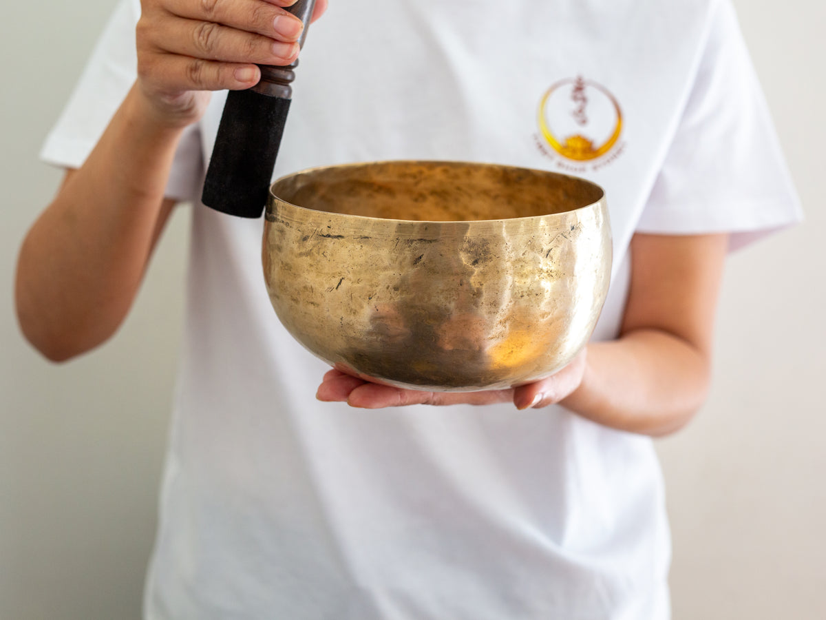 Copre Singing Bowl - D3 149 Hz
