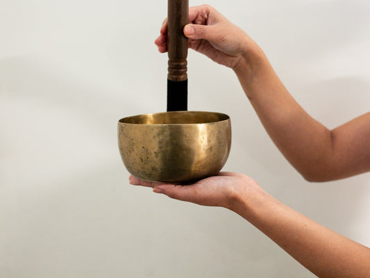 Small Tara Singing Bowl - Base Note A3 (218)