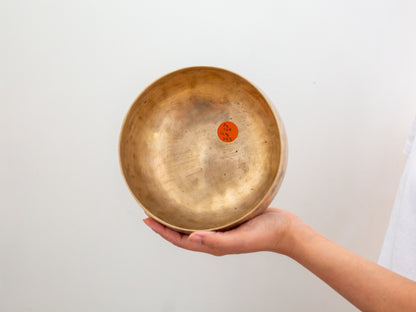 Copre Singing Bowl - D3 149 Hz