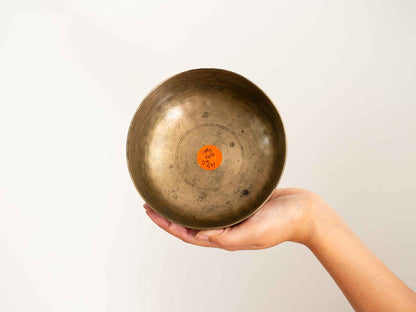 Small Tara Singing Bowl - Base Note G#3 (207)