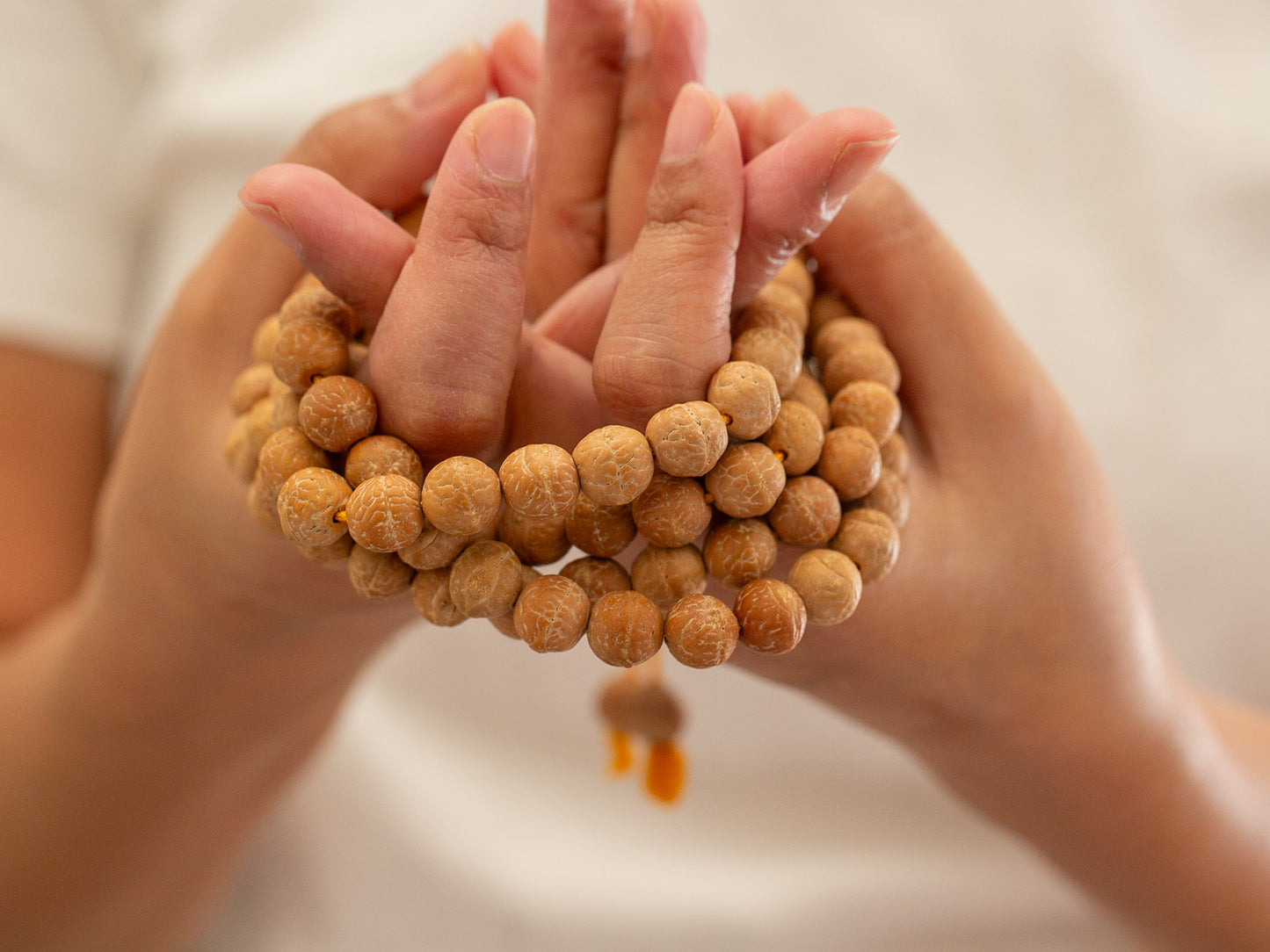 10mm Bodhi Seed Mala (Unstained) #1