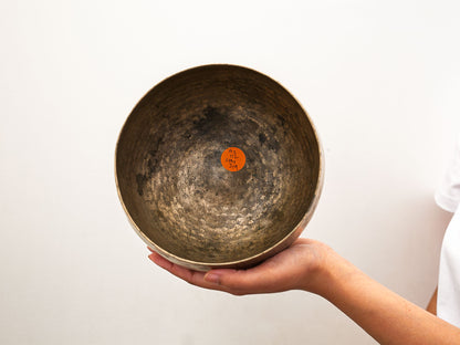 Copre Singing Bowl - A2 112 Hz