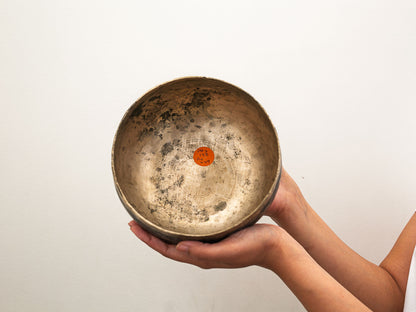 Copre Singing Bowl - D#3 158 Hz