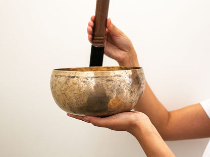 Copre Singing Bowl - D3 150 Hz