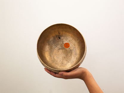 Copre Singing Bowl - D3 150 Hz