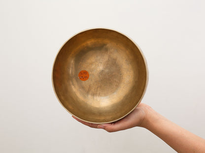 Copre Singing Bowl - D3 143 Hz